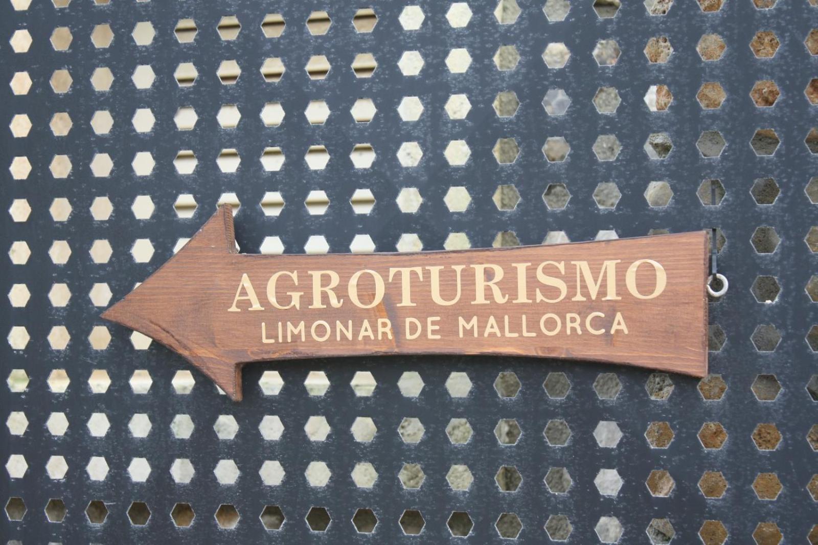 Appartement El Limonar De Mallorca - Îles Baléares